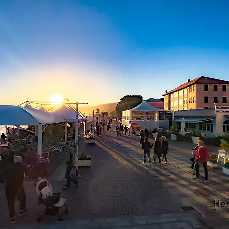Beaches 7 Min Away - Wifi - Smart Tv Apartment *